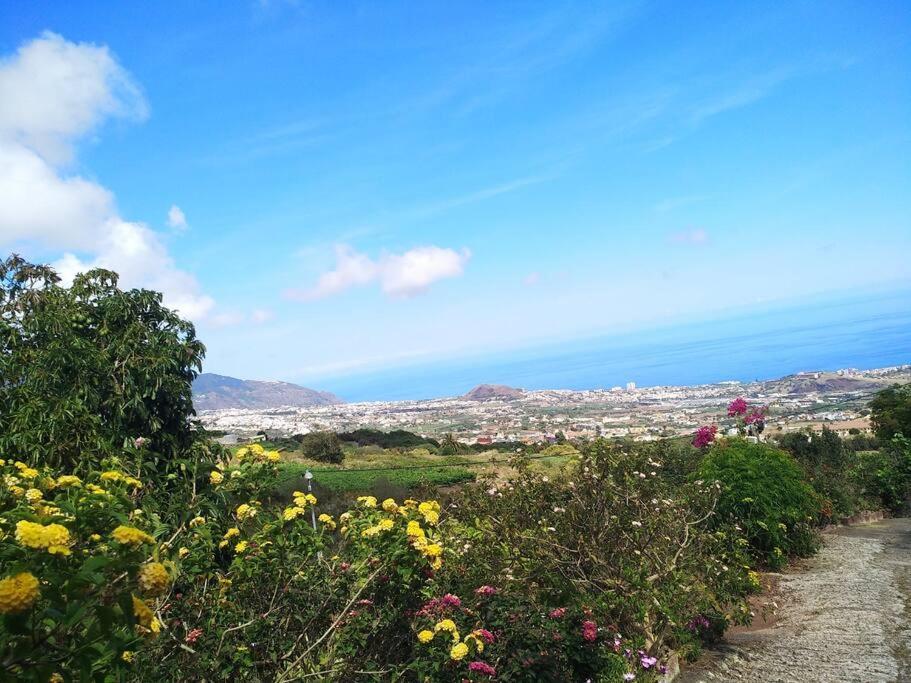 Apartment With Huge Deck Nestled In Marvelous Gardens - Nidos La Orotava Esterno foto