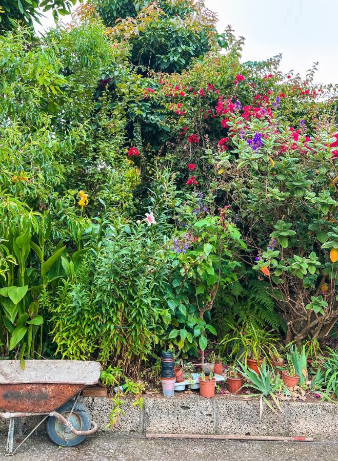 Apartment With Huge Deck Nestled In Marvelous Gardens - Nidos La Orotava Esterno foto