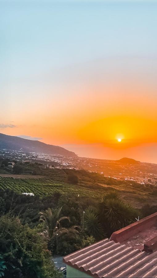 Apartment With Huge Deck Nestled In Marvelous Gardens - Nidos La Orotava Esterno foto