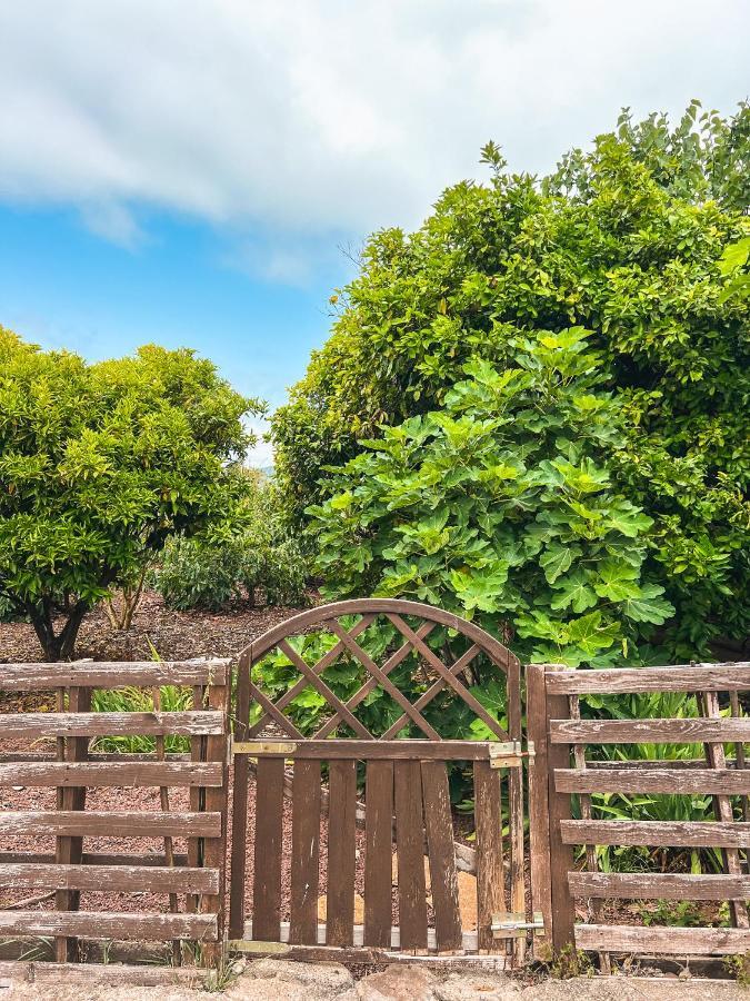 Apartment With Huge Deck Nestled In Marvelous Gardens - Nidos La Orotava Esterno foto